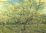Trees Canvas Paintings - Orchard with Blossoming Plum Trees